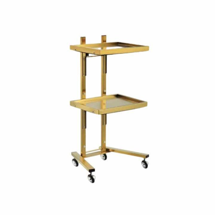 Salon trolley