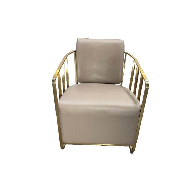 Lenora caged salon chair, plan nude color,  front view photo